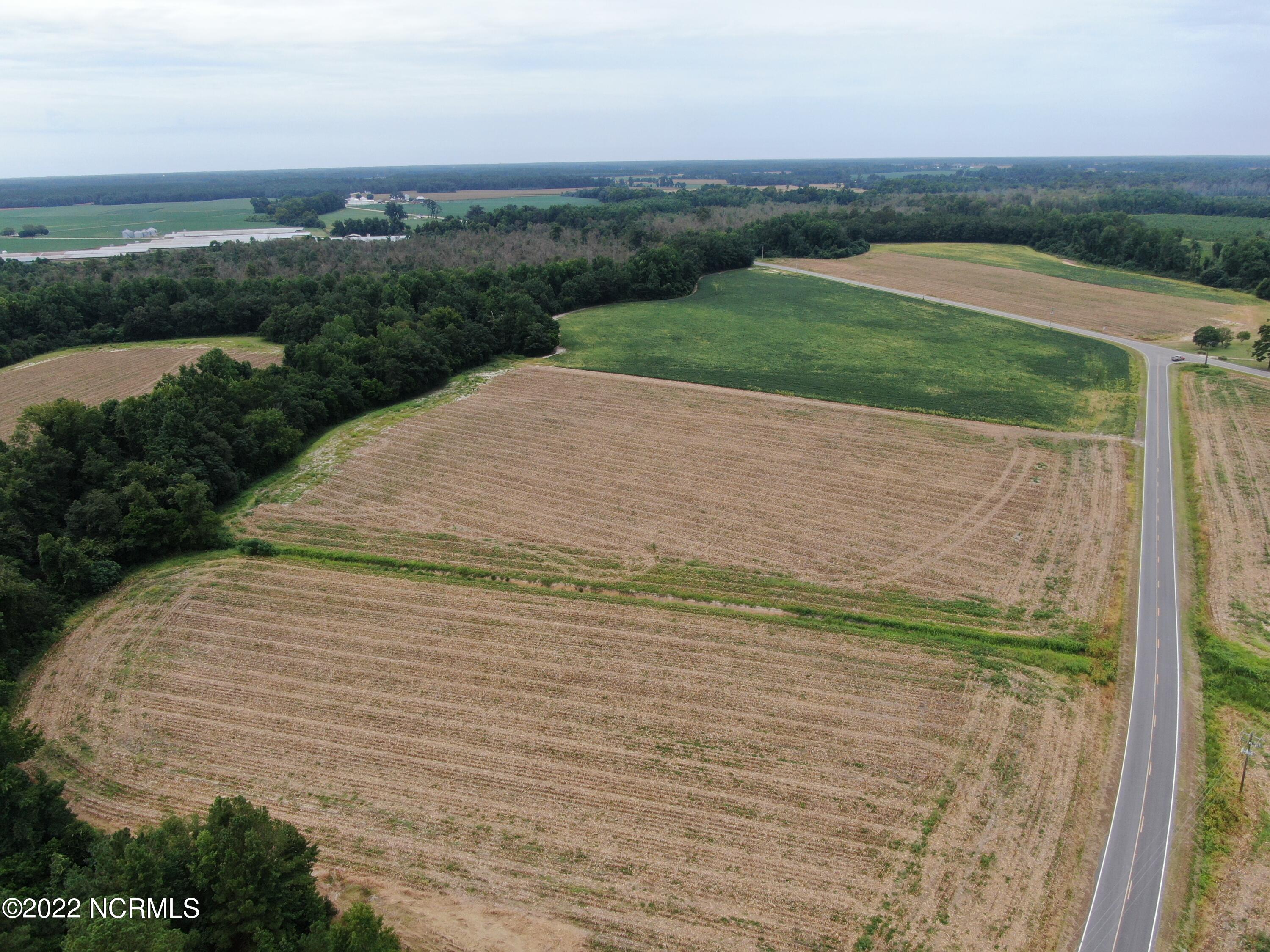 Tbd Mc Leod Road Rowland, NC 28383 - Photo 9 of 12 facebook 2