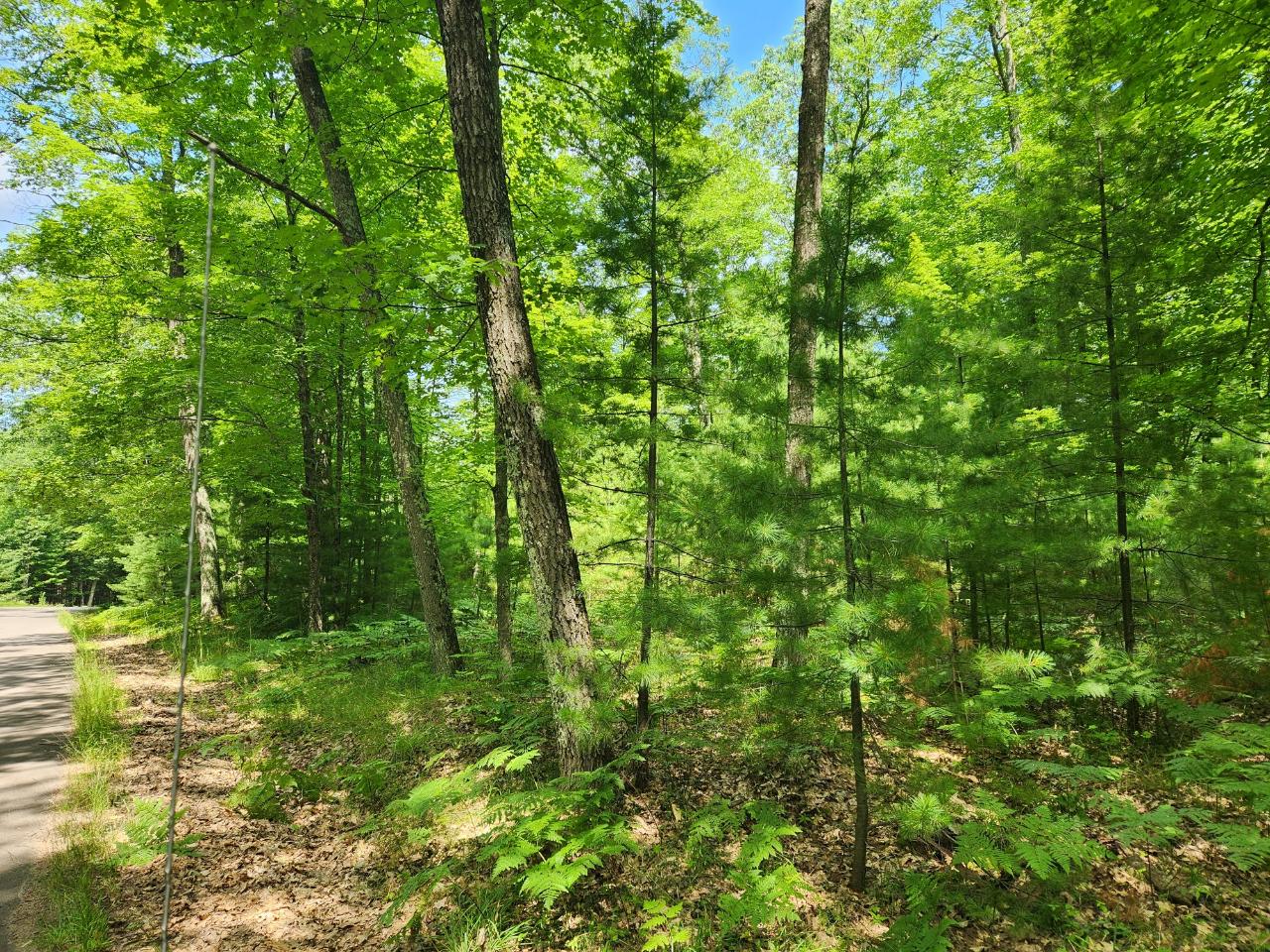 Lot On Agawak Road Minocqua, WI 54548 - Photo 5 of 7 Gallery Image 5
