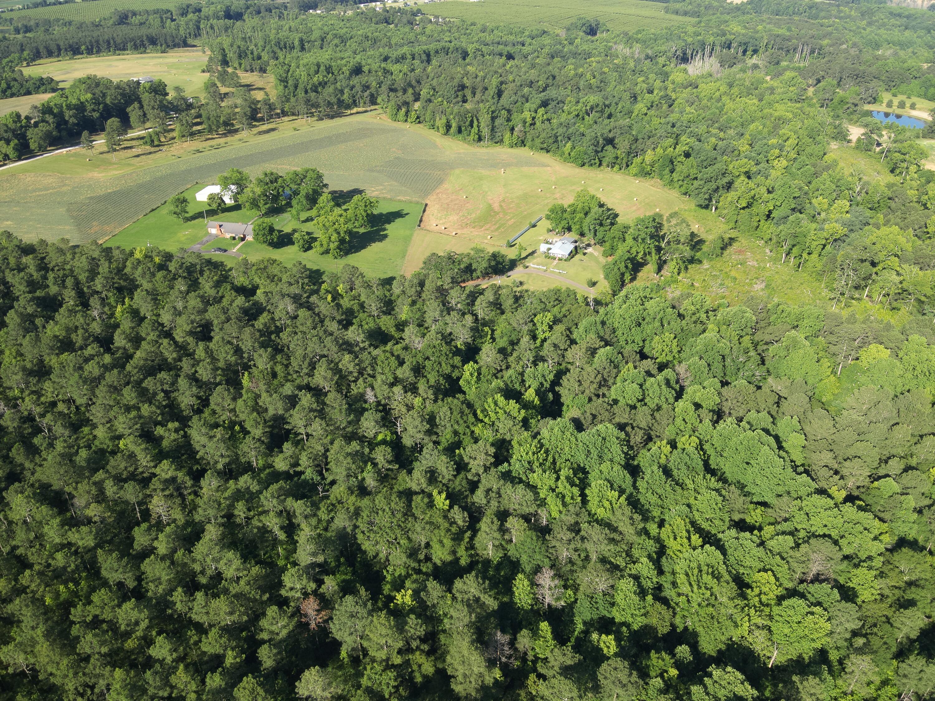 0 Padgett Pond Road Monetta, SC 29105 - Photo 7 of 7