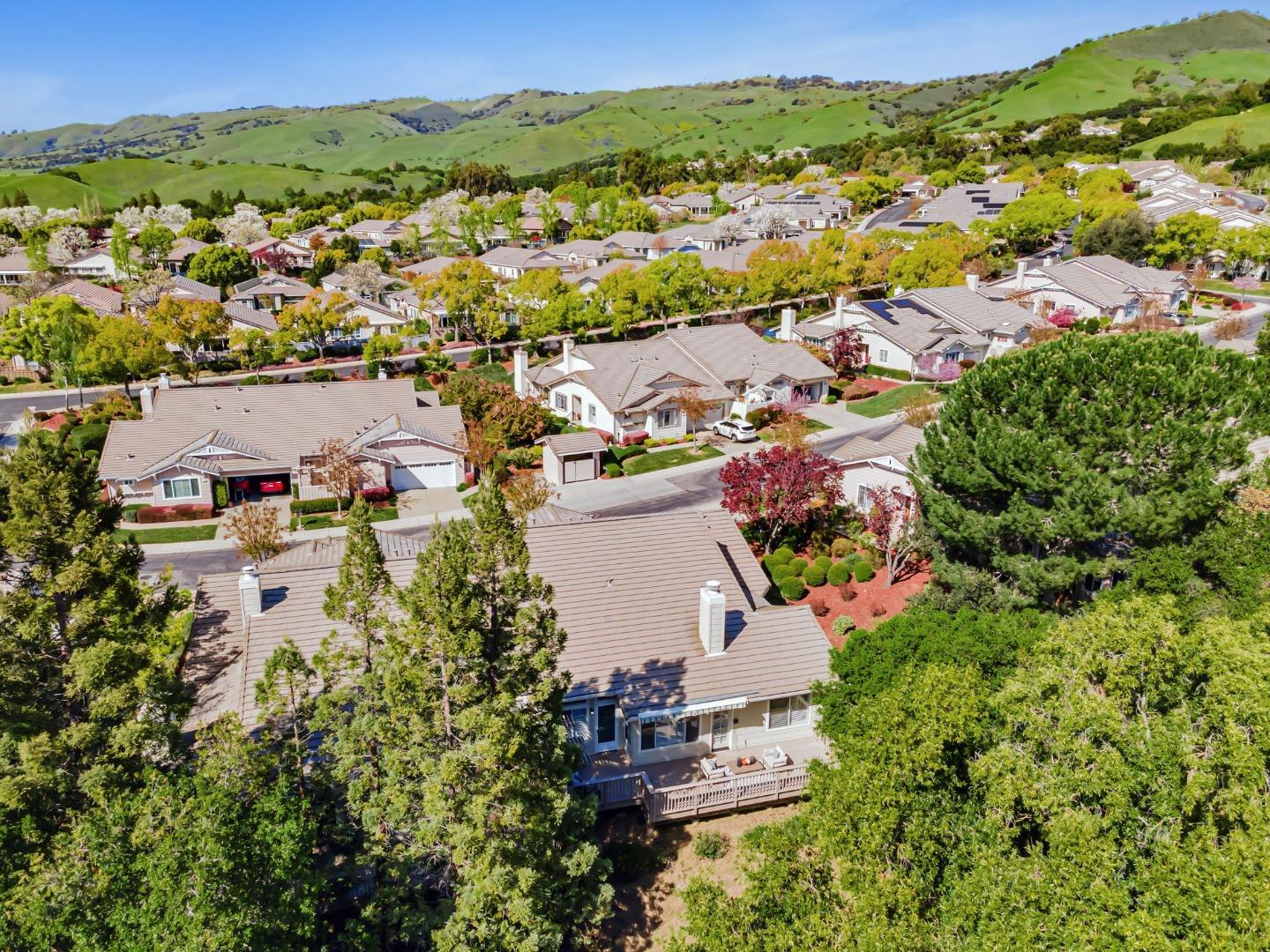 8718 McCarty Ranch Drive San Jose, CA 95135 - Photo 48 of 60 an aerial view of residential houses with outdoor space and trees