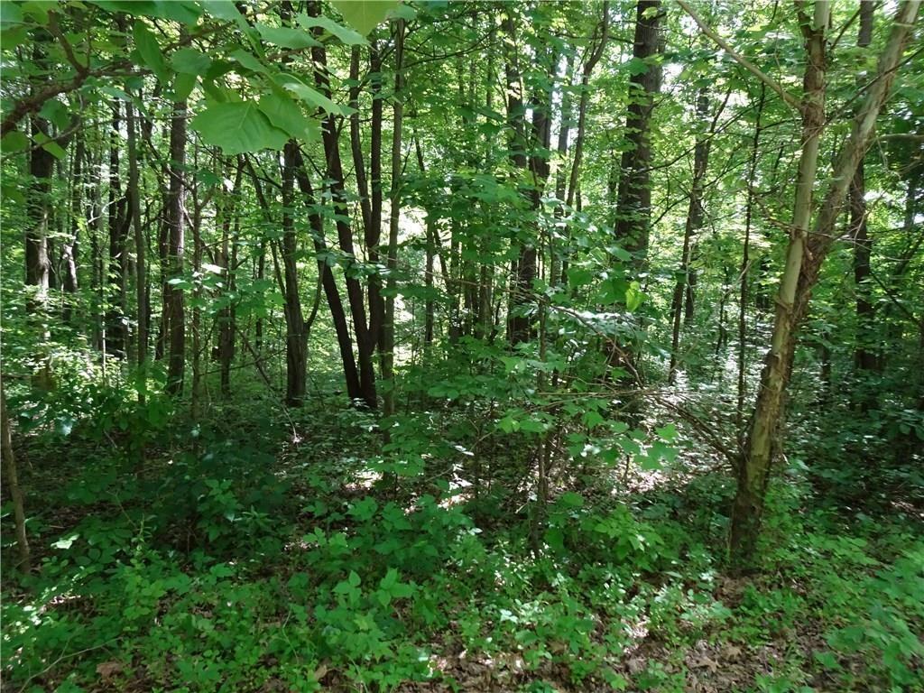4840 Old Boundary Line Road Gosport, IN 47433 - Photo 2 of 2 Gallery Image 2