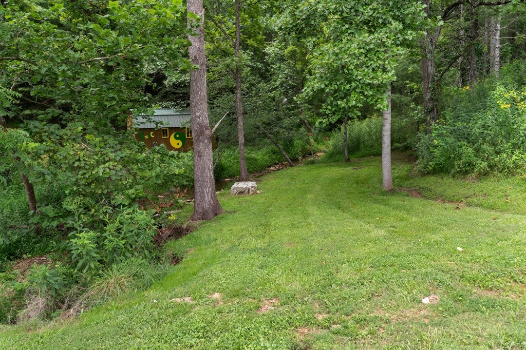 4251 Riverside Drive Independence, VA 24348 - Photo 33 of 42 Gallery Image 33