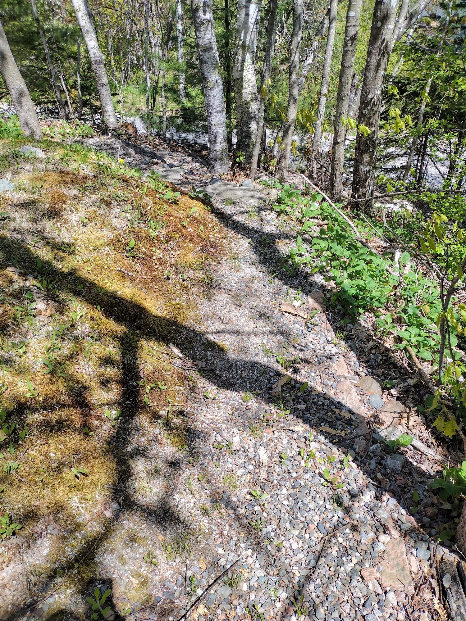 88 Stillwater Road Cherryfield, ME 04622 - Photo 20 of 39 Path to Lower Parking