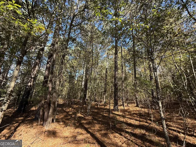 $120,000 | 1 Lem Edwards Road, Colbert, GA 30628