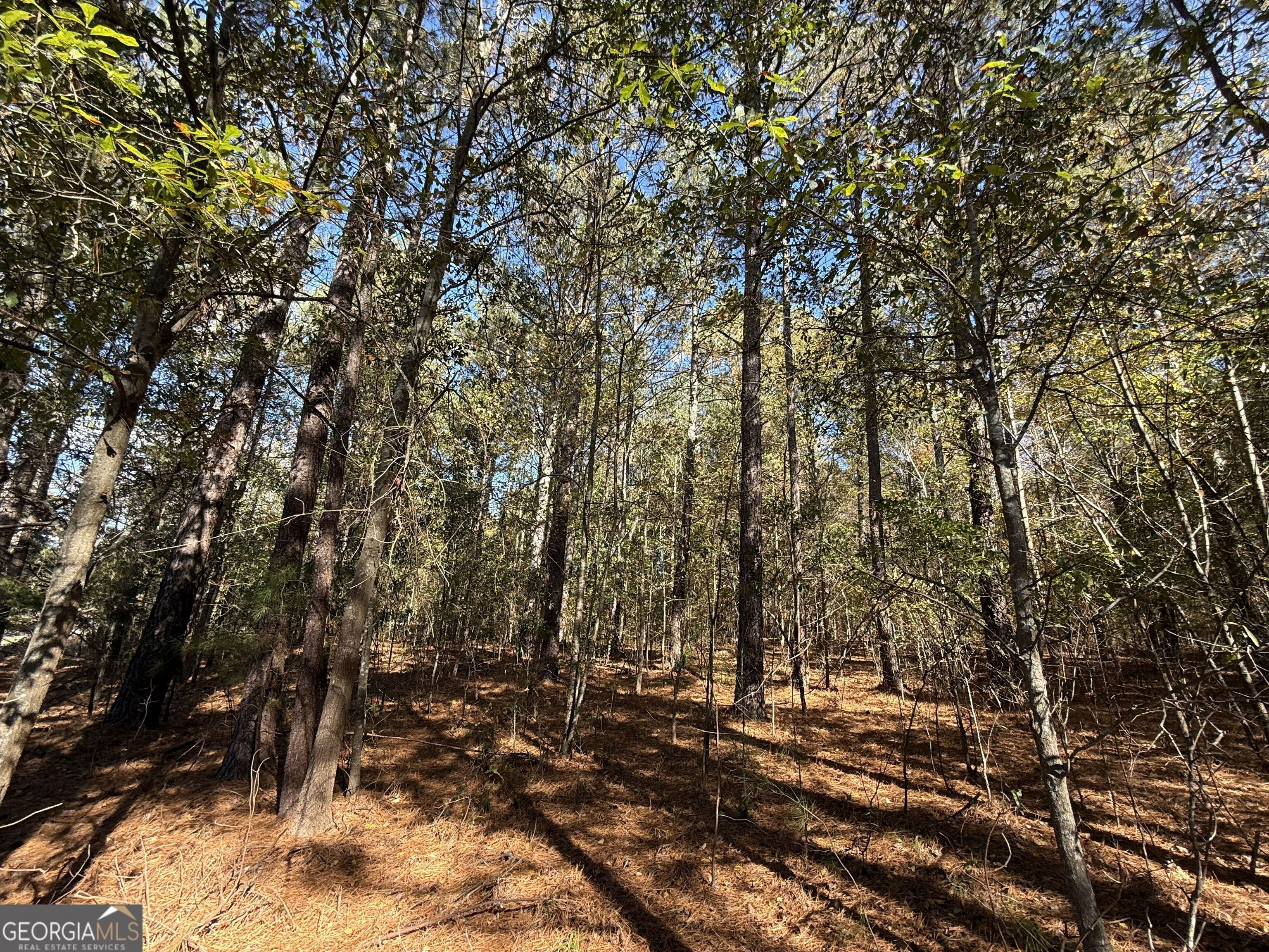 1 Lem Edwards Road Colbert, GA 30628 - Photo 11 of 53