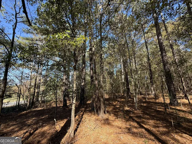 $120,000 | 1 Lem Edwards Road, Colbert, GA 30628