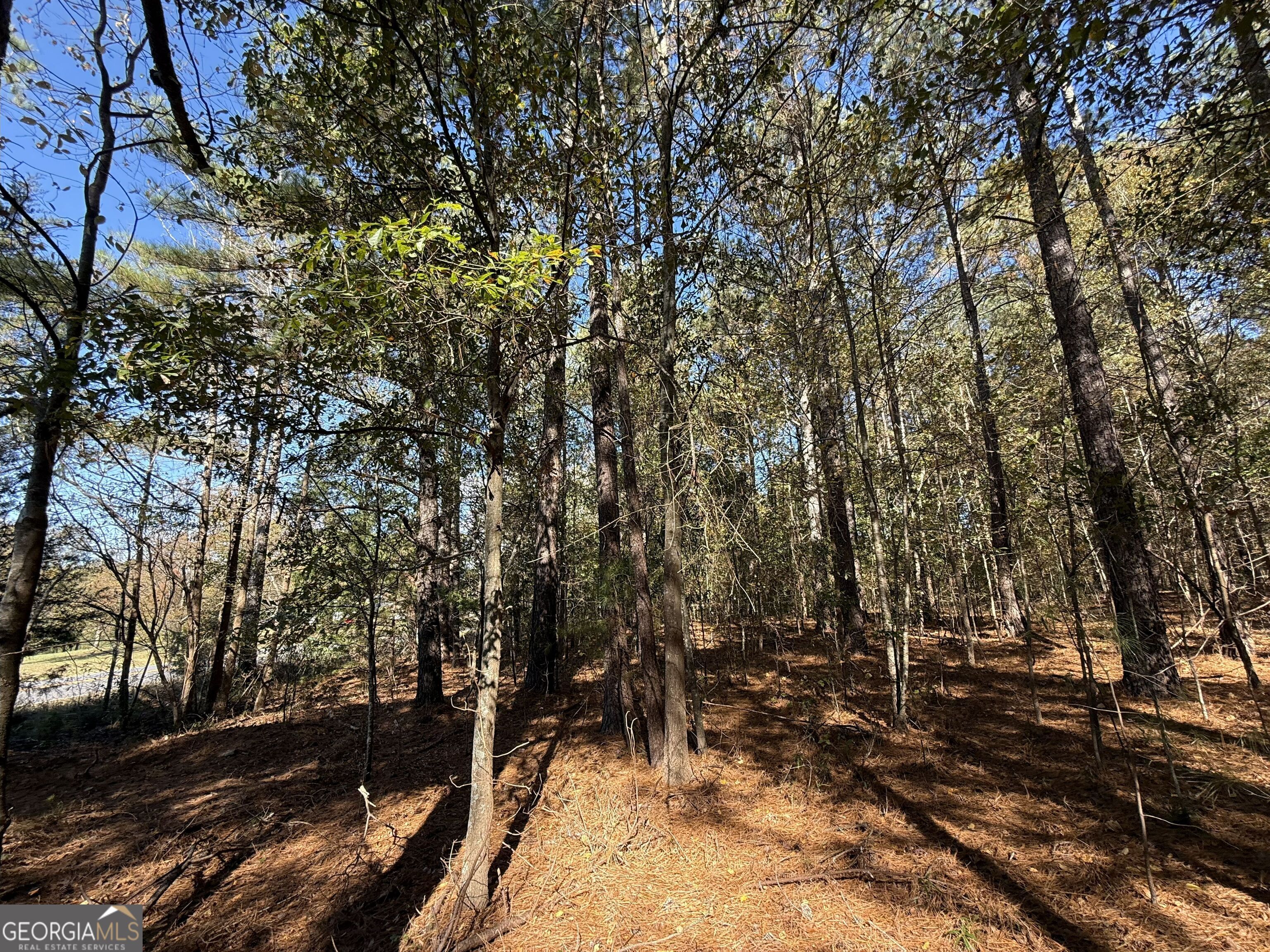 1 Lem Edwards Road Colbert, GA 30628 - Photo 12 of 53