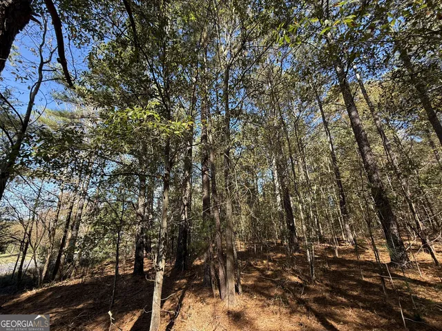 $120,000 | 1 Lem Edwards Road, Colbert, GA 30628