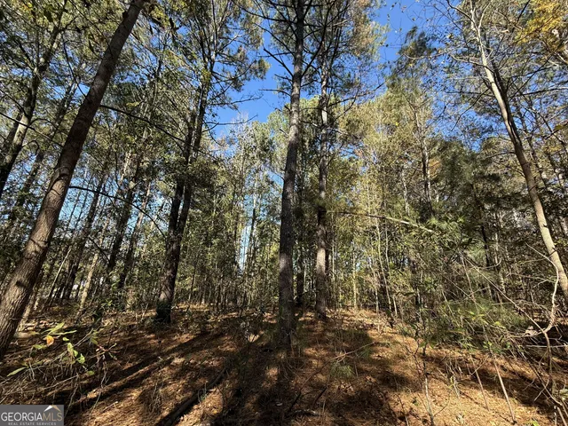 $120,000 | 1 Lem Edwards Road, Colbert, GA 30628