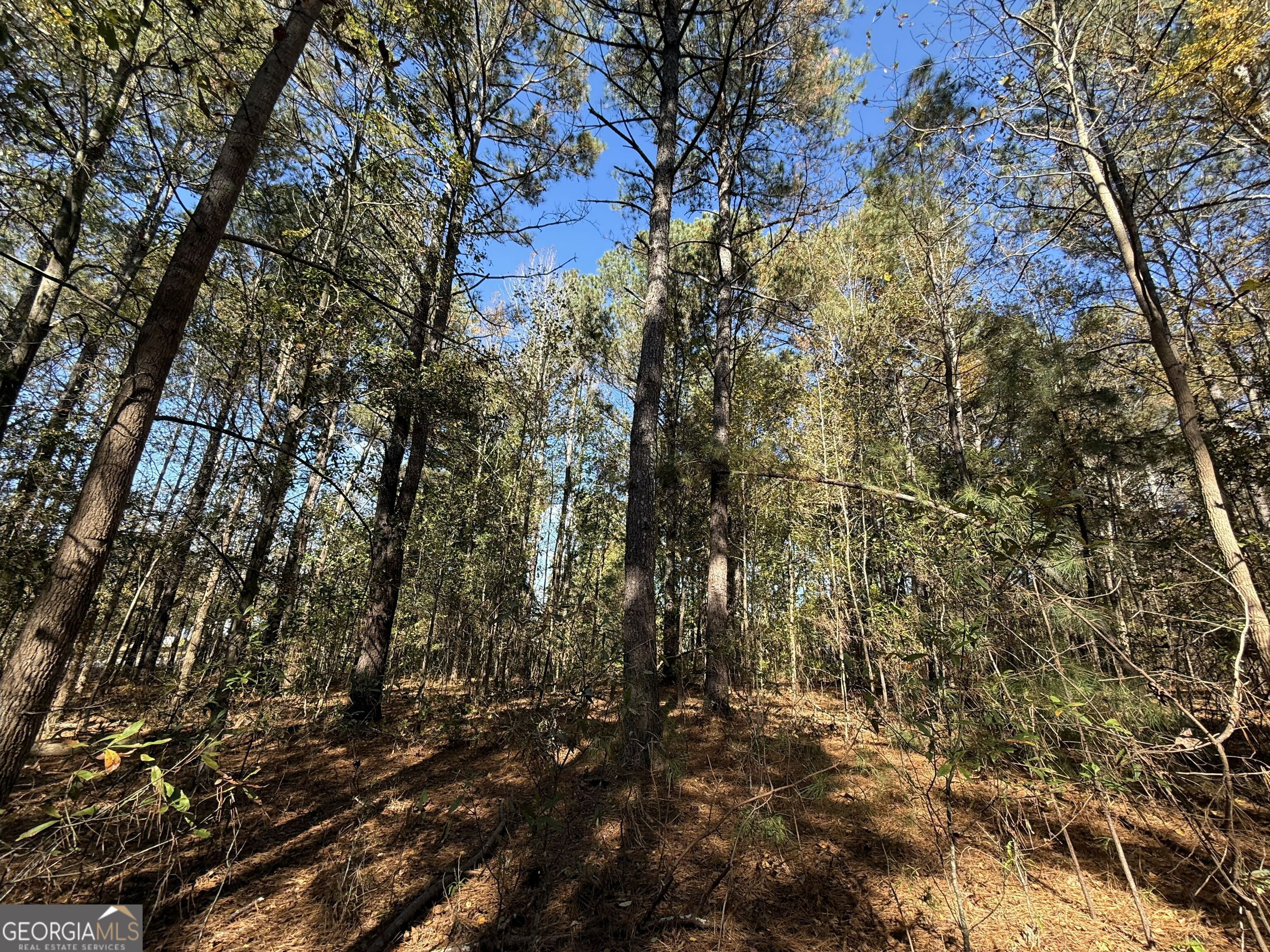 1 Lem Edwards Road Colbert, GA 30628 - Photo 14 of 53