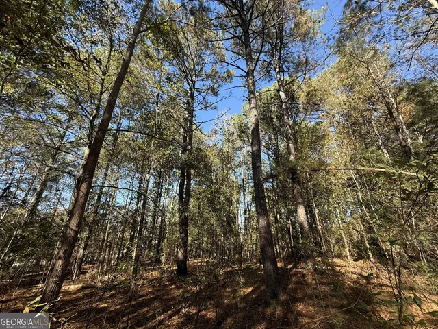 $120,000 | 1 Lem Edwards Road, Colbert, GA 30628