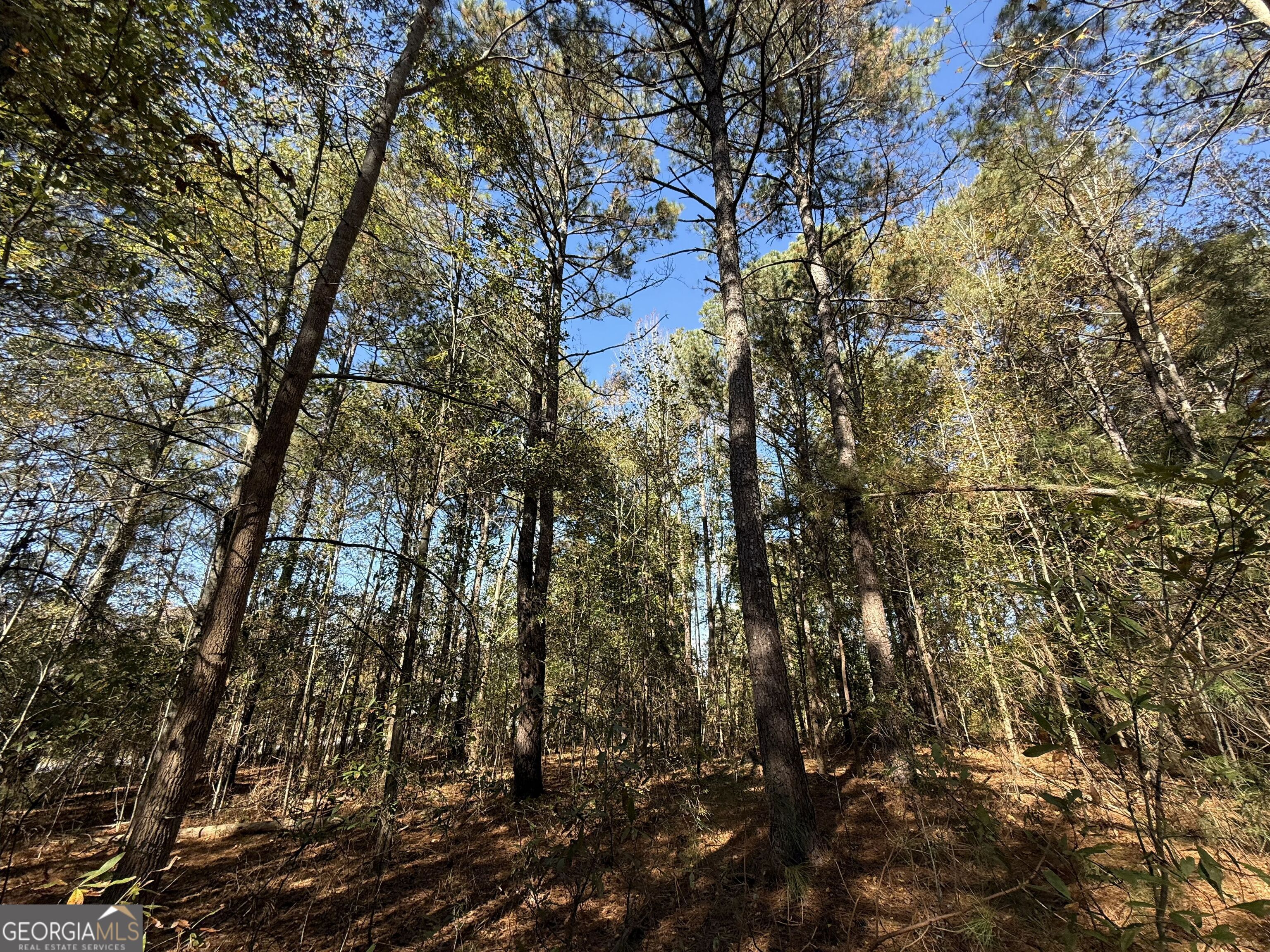 1 Lem Edwards Road Colbert, GA 30628 - Photo 15 of 53