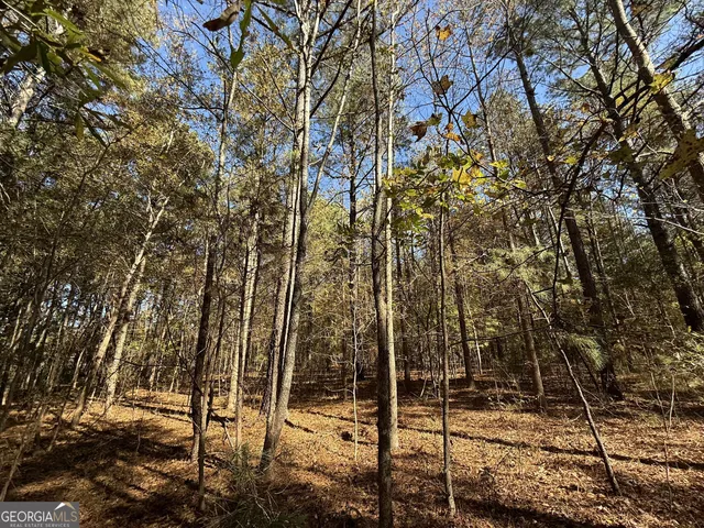 $120,000 | 1 Lem Edwards Road, Colbert, GA 30628