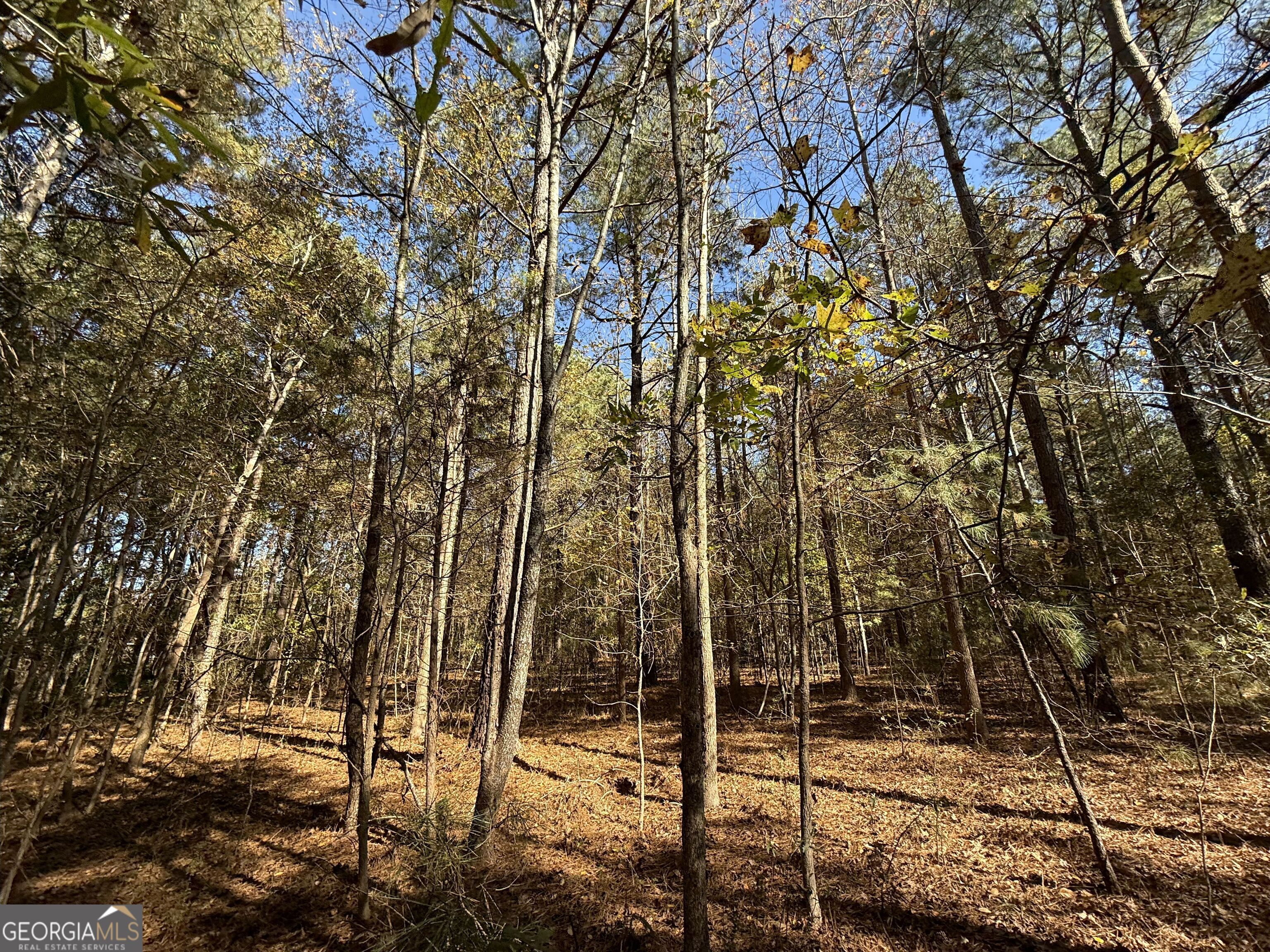 1 Lem Edwards Road Colbert, GA 30628 - Photo 16 of 53