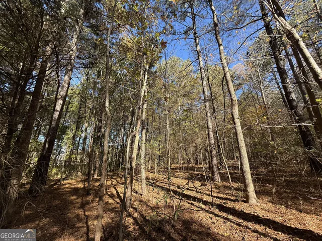 $120,000 | 1 Lem Edwards Road, Colbert, GA 30628