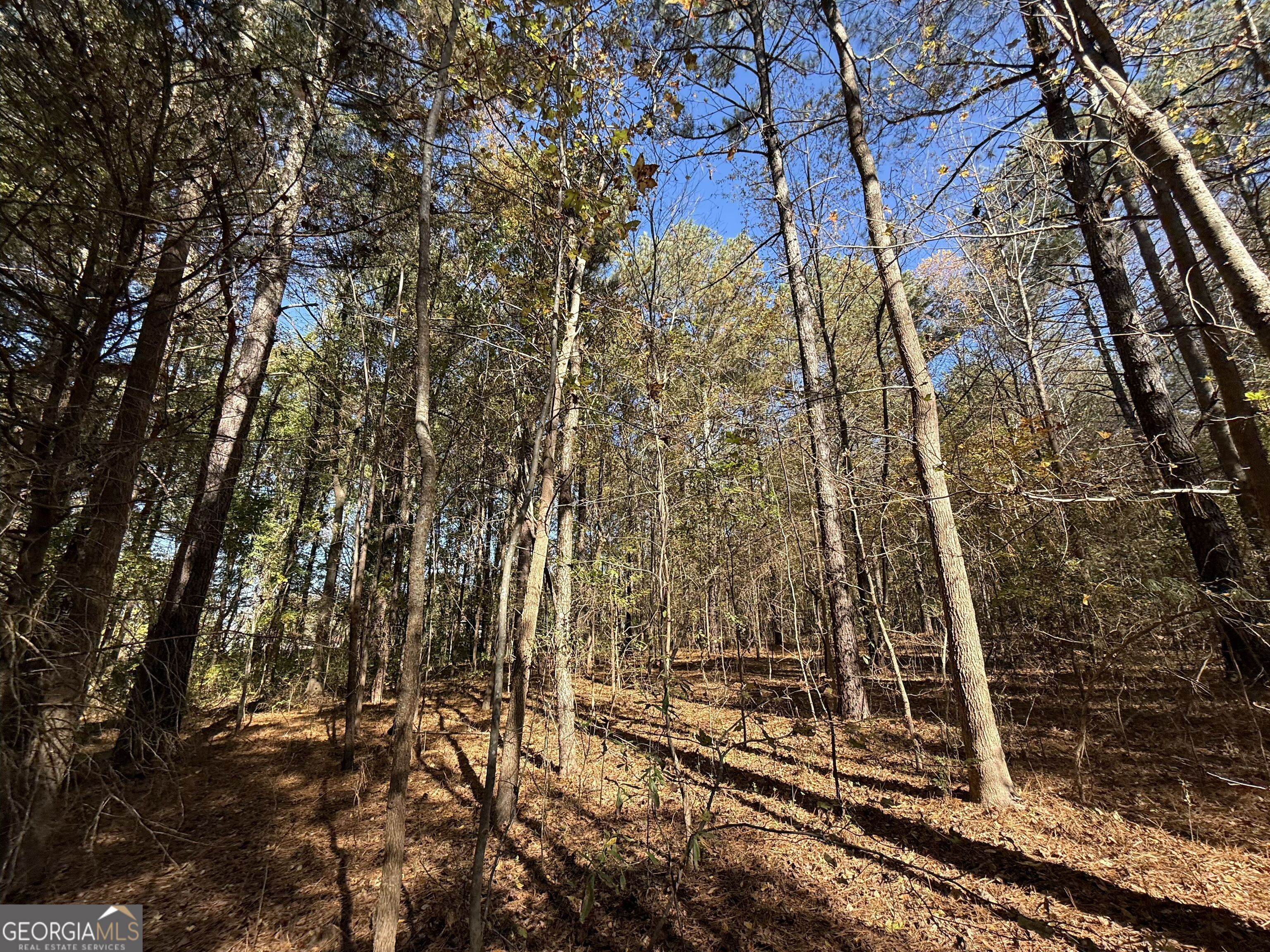 1 Lem Edwards Road Colbert, GA 30628 - Photo 17 of 53