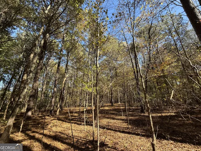 $120,000 | 1 Lem Edwards Road, Colbert, GA 30628