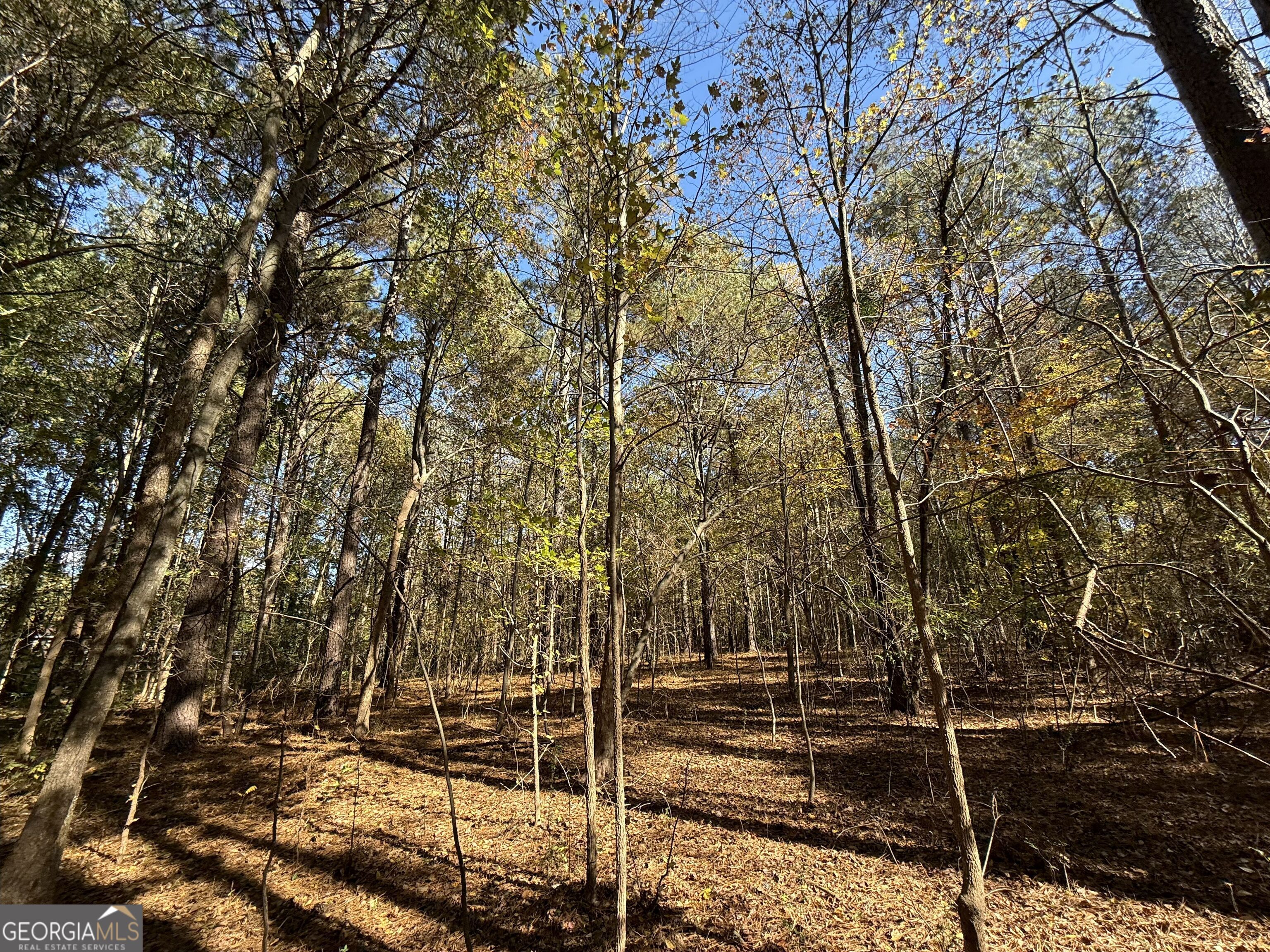 1 Lem Edwards Road Colbert, GA 30628 - Photo 18 of 53