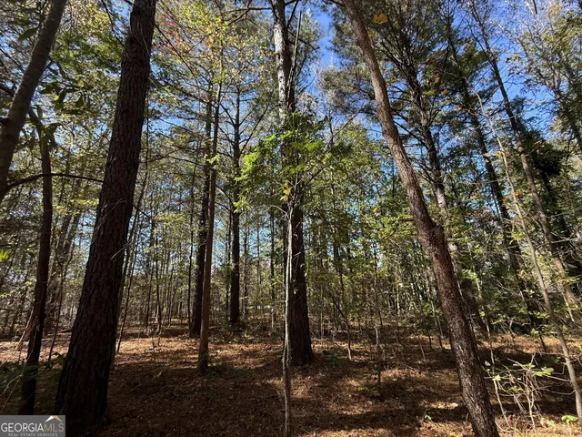 $120,000 | 1 Lem Edwards Road, Colbert, GA 30628