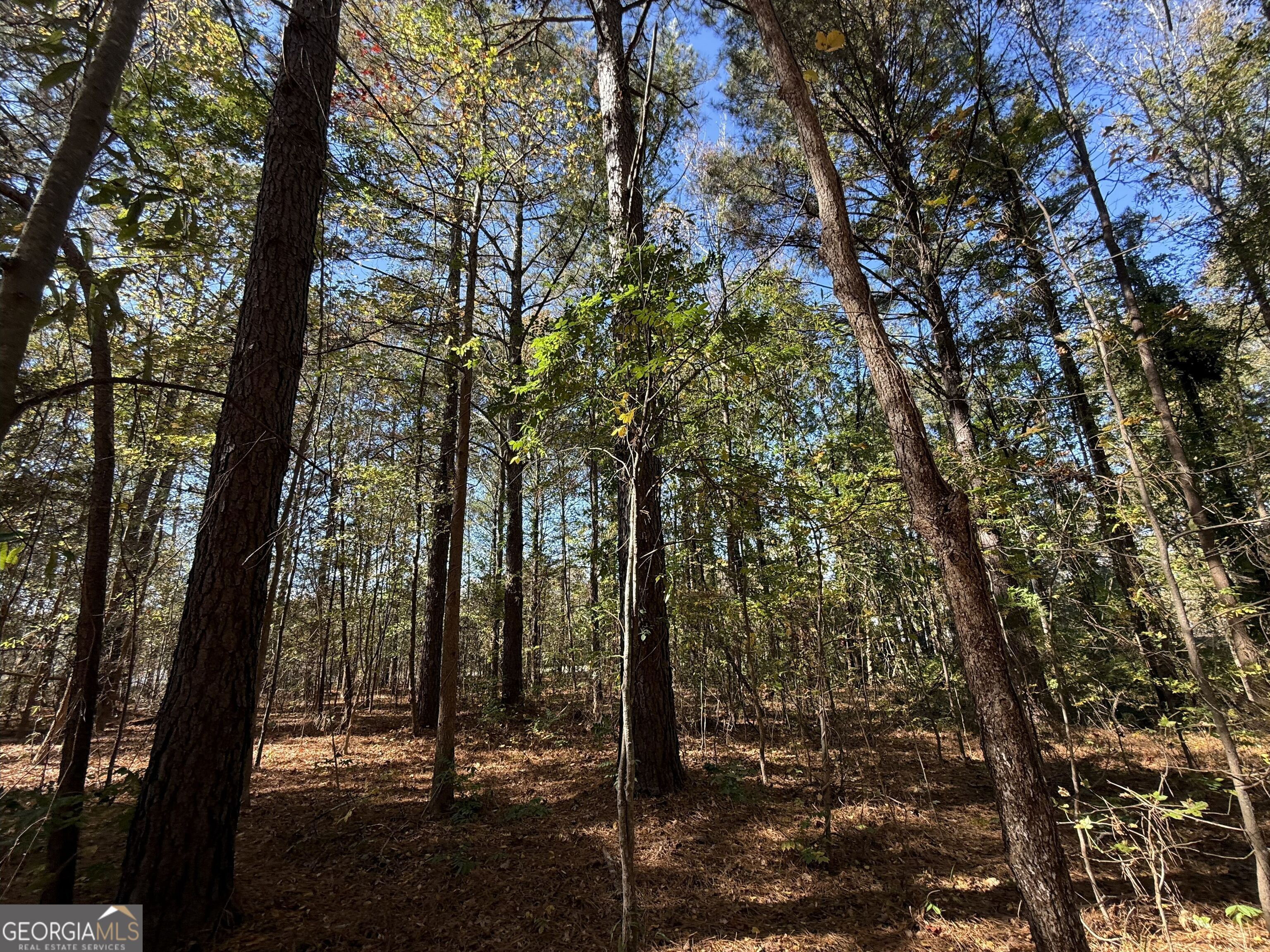 1 Lem Edwards Road Colbert, GA 30628 - Photo 19 of 53