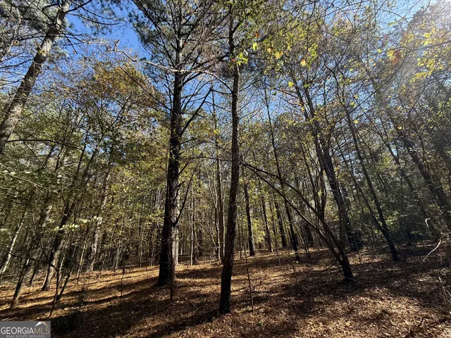 $120,000 | 1 Lem Edwards Road, Colbert, GA 30628