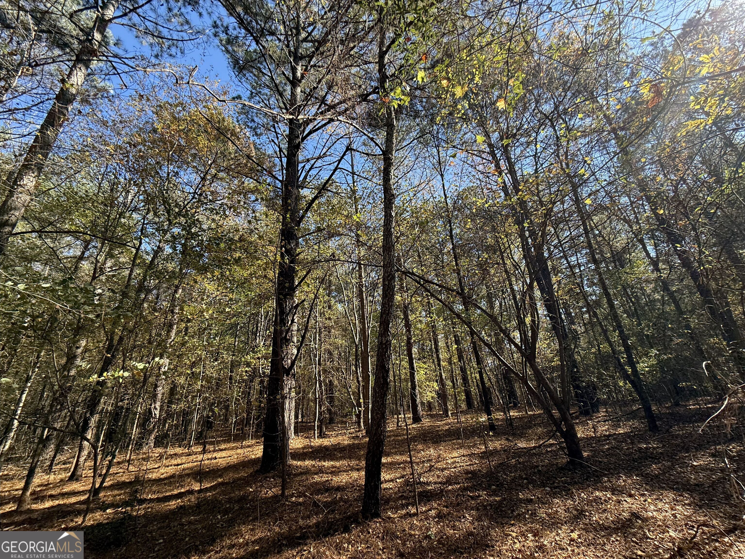 1 Lem Edwards Road Colbert, GA 30628 - Photo 21 of 53