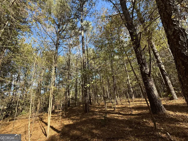 $120,000 | 1 Lem Edwards Road, Colbert, GA 30628