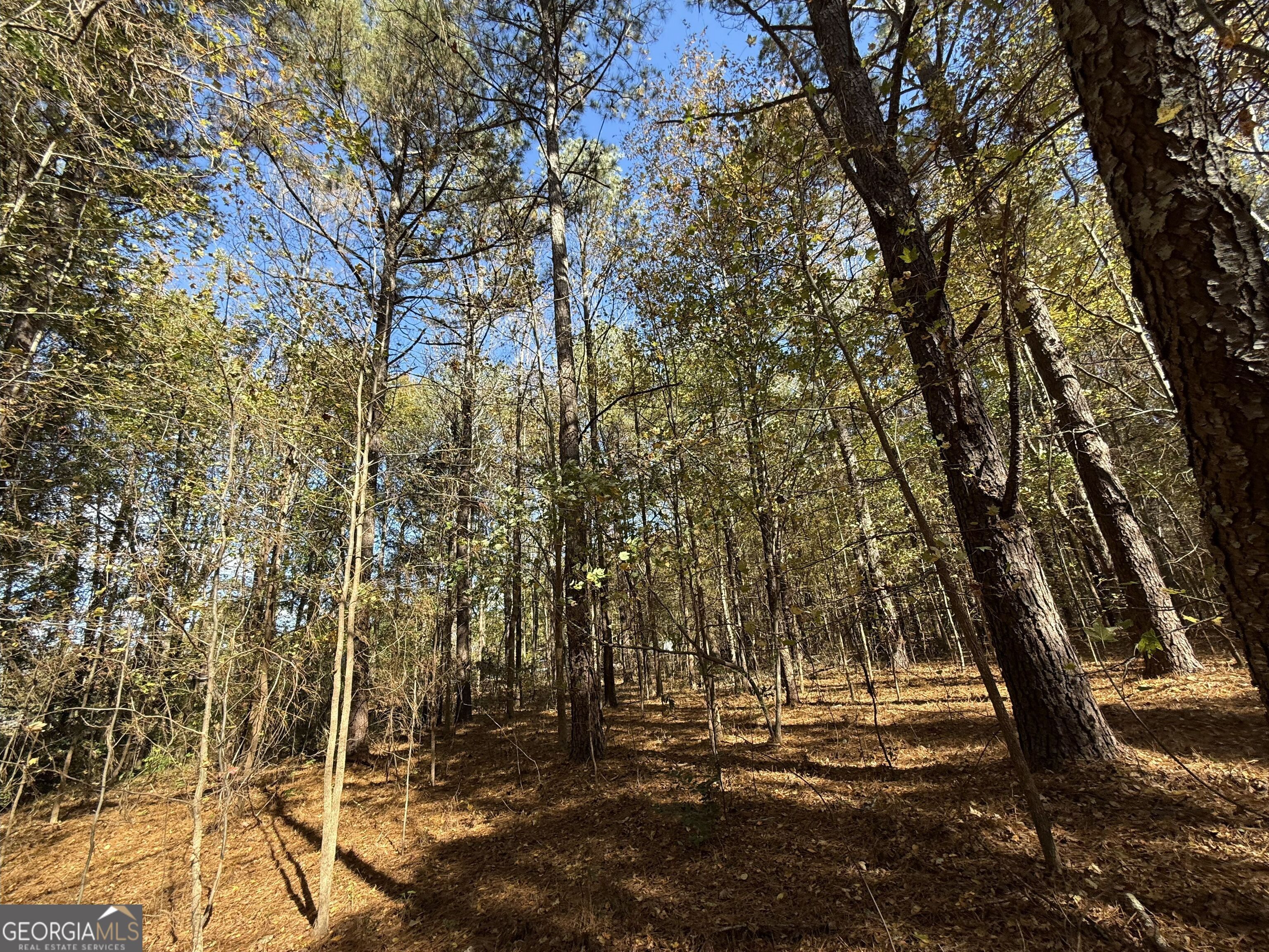 1 Lem Edwards Road Colbert, GA 30628 - Photo 22 of 53