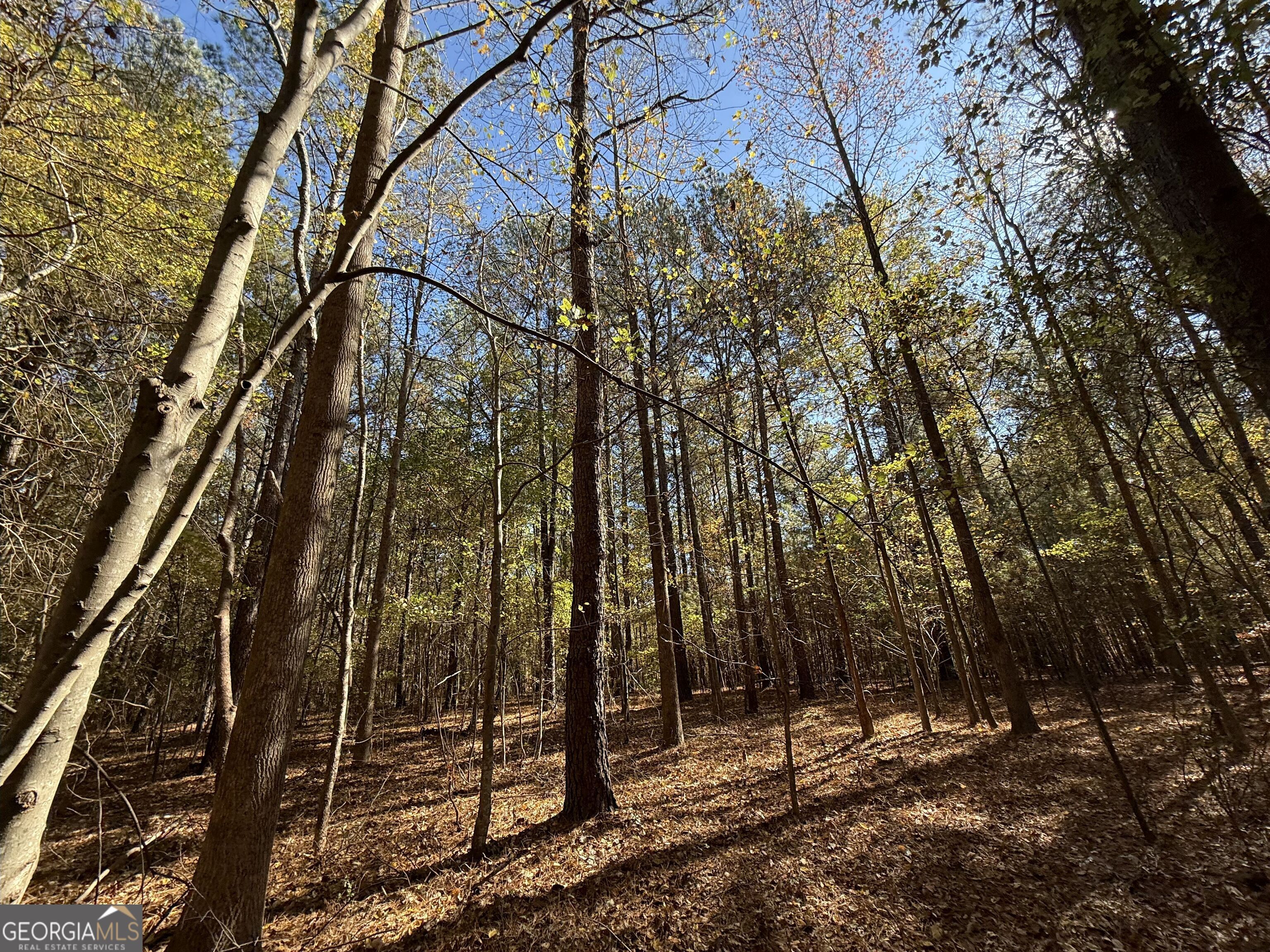 1 Lem Edwards Road Colbert, GA 30628 - Photo 23 of 53
