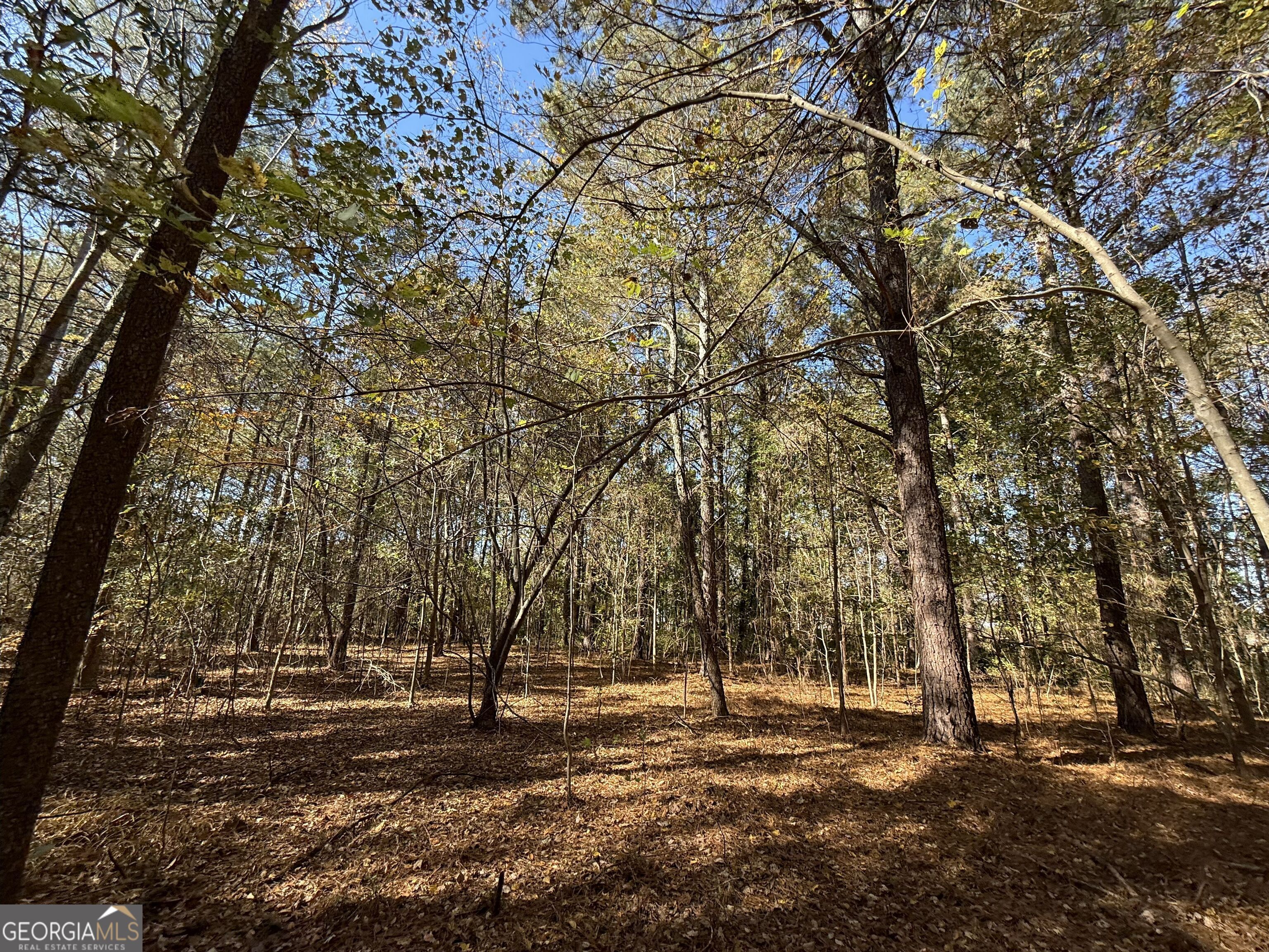 1 Lem Edwards Road Colbert, GA 30628 - Photo 24 of 53