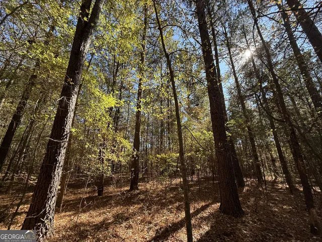 $120,000 | 1 Lem Edwards Road, Colbert, GA 30628