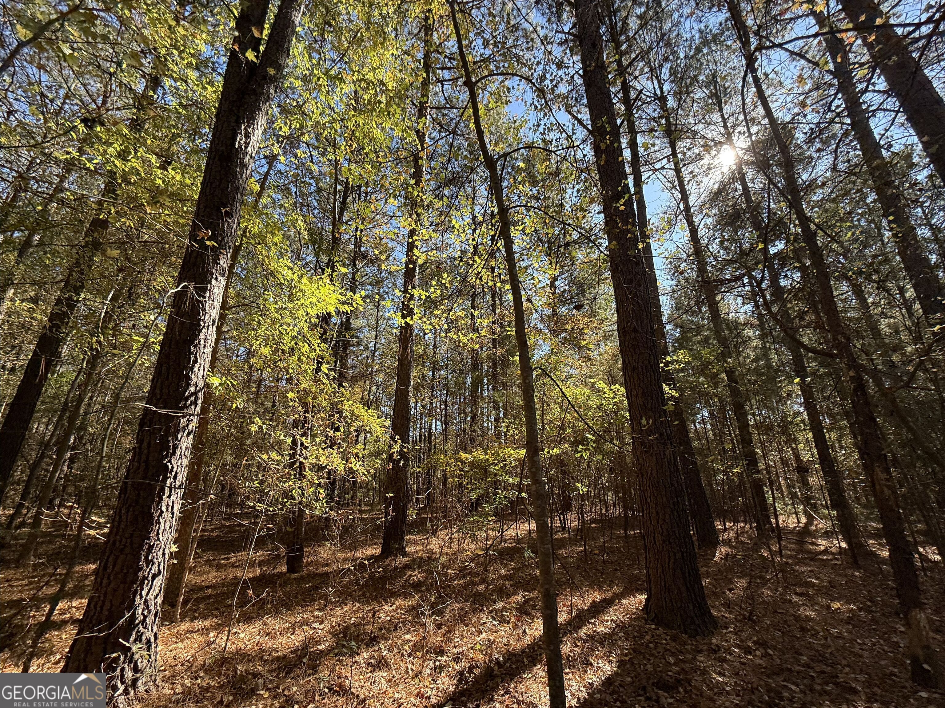 1 Lem Edwards Road Colbert, GA 30628 - Photo 25 of 53