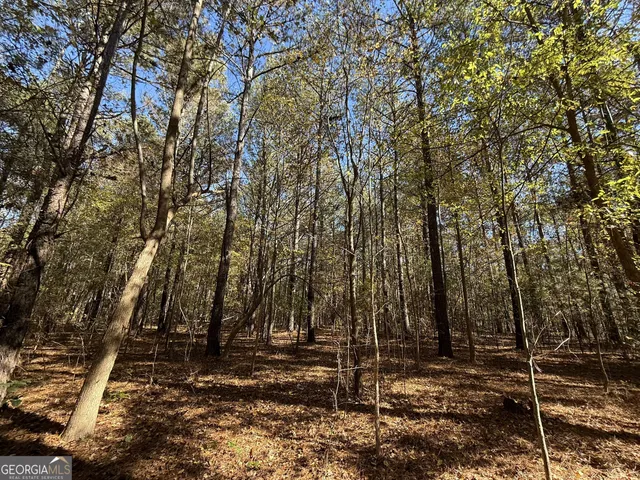 $120,000 | 1 Lem Edwards Road, Colbert, GA 30628