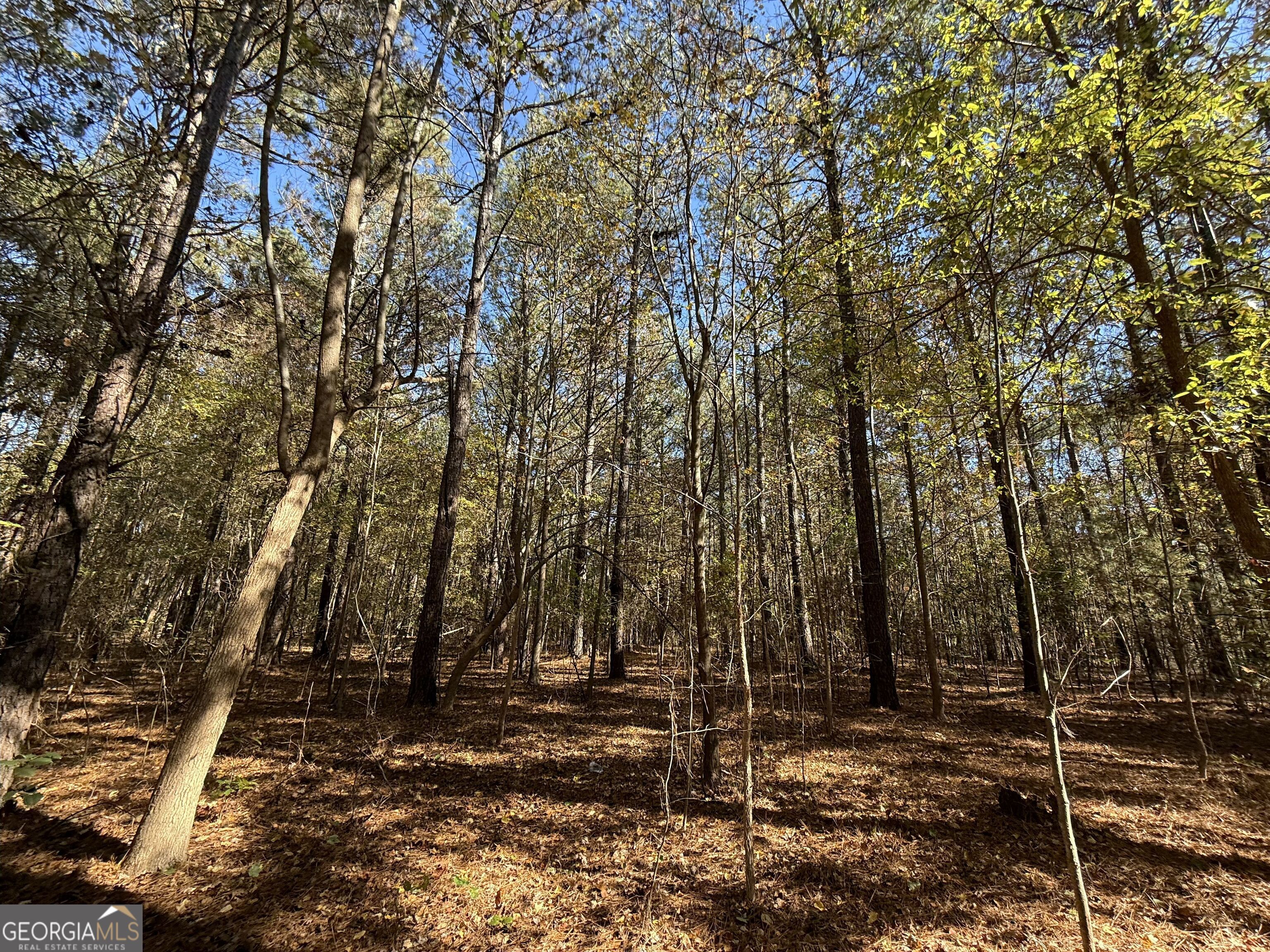 1 Lem Edwards Road Colbert, GA 30628 - Photo 26 of 53