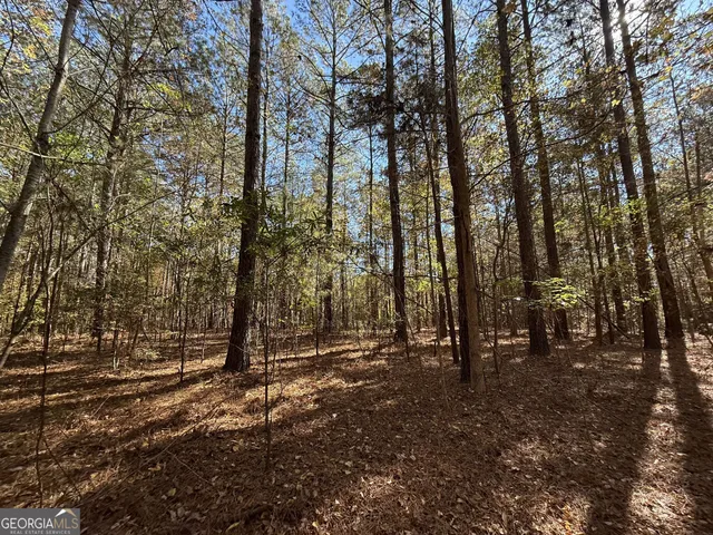 $120,000 | 1 Lem Edwards Road, Colbert, GA 30628