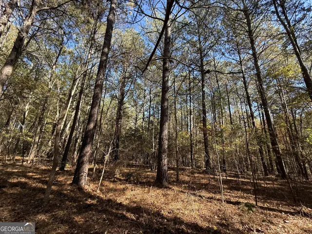 $120,000 | 1 Lem Edwards Road, Colbert, GA 30628