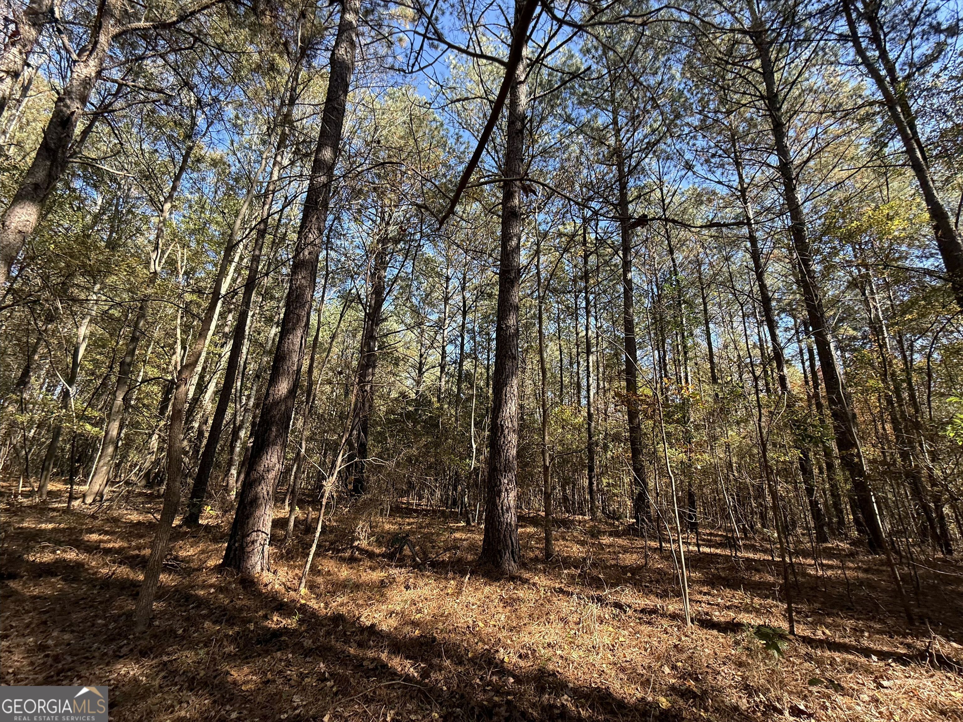 1 Lem Edwards Road Colbert, GA 30628 - Photo 28 of 53