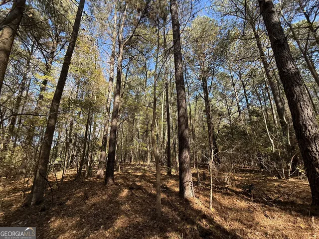 $120,000 | 1 Lem Edwards Road, Colbert, GA 30628