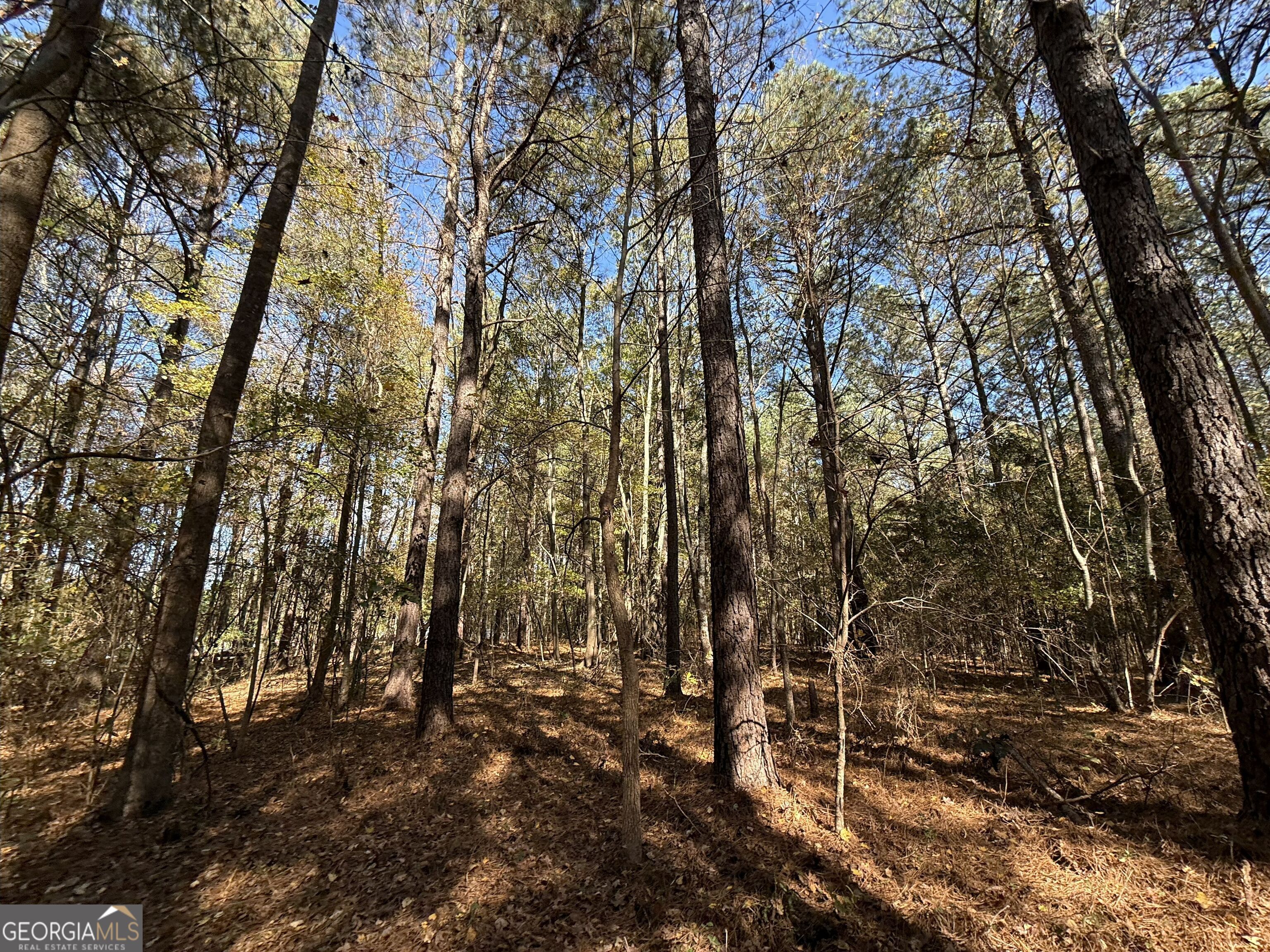 1 Lem Edwards Road Colbert, GA 30628 - Photo 29 of 53