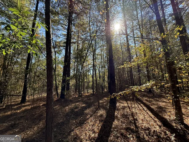 $120,000 | 1 Lem Edwards Road, Colbert, GA 30628