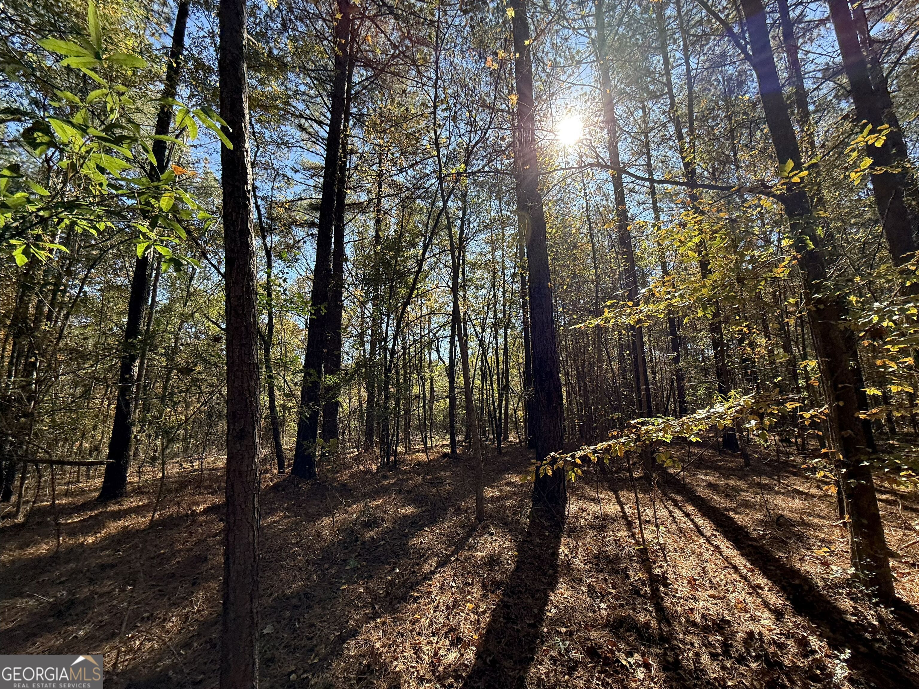 1 Lem Edwards Road Colbert, GA 30628 - Photo 30 of 53