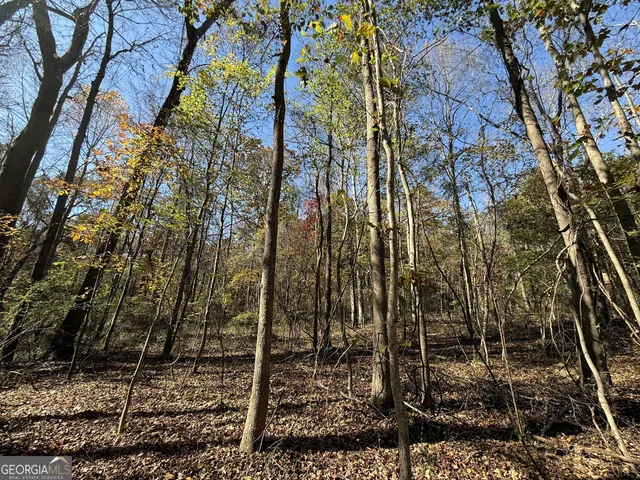 $120,000 | 1 Lem Edwards Road, Colbert, GA 30628