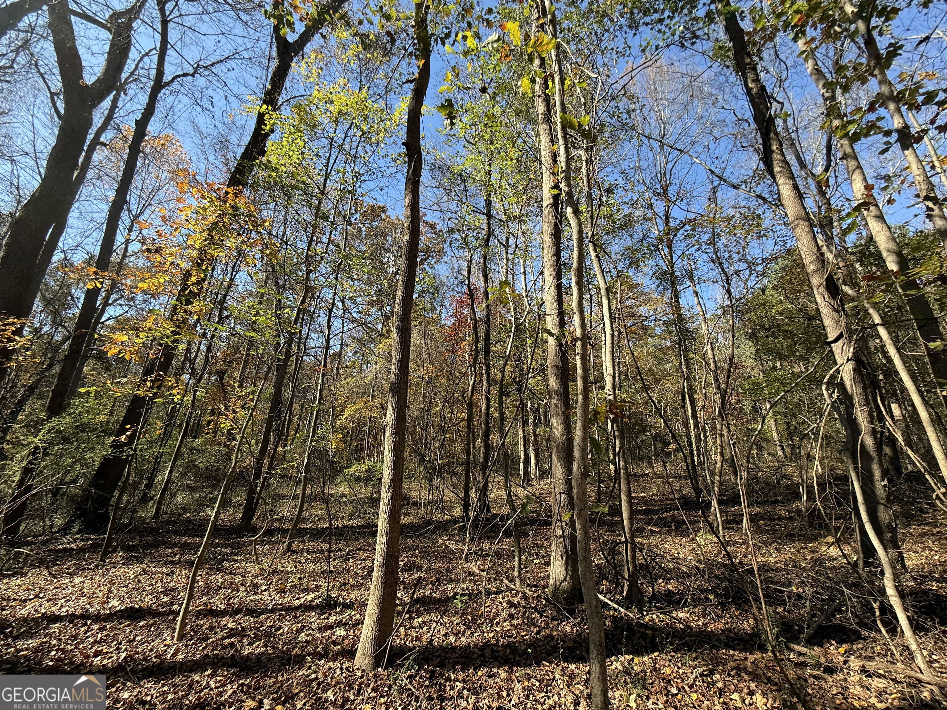 1 Lem Edwards Road Colbert, GA 30628 - Photo 3 of 53