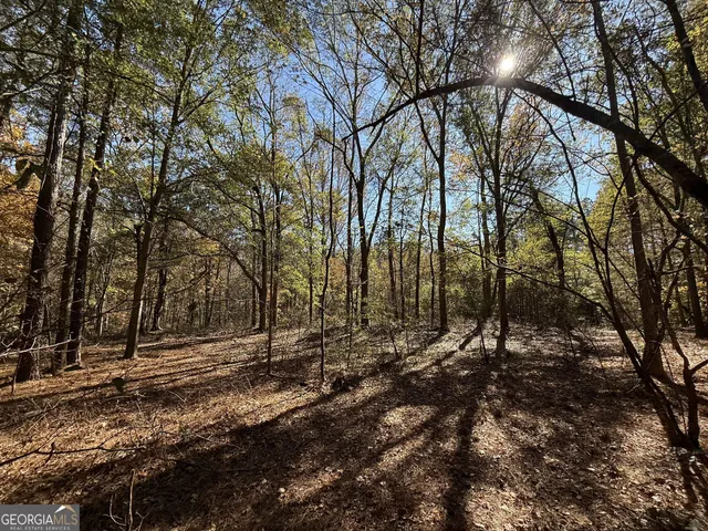 $120,000 | 1 Lem Edwards Road, Colbert, GA 30628