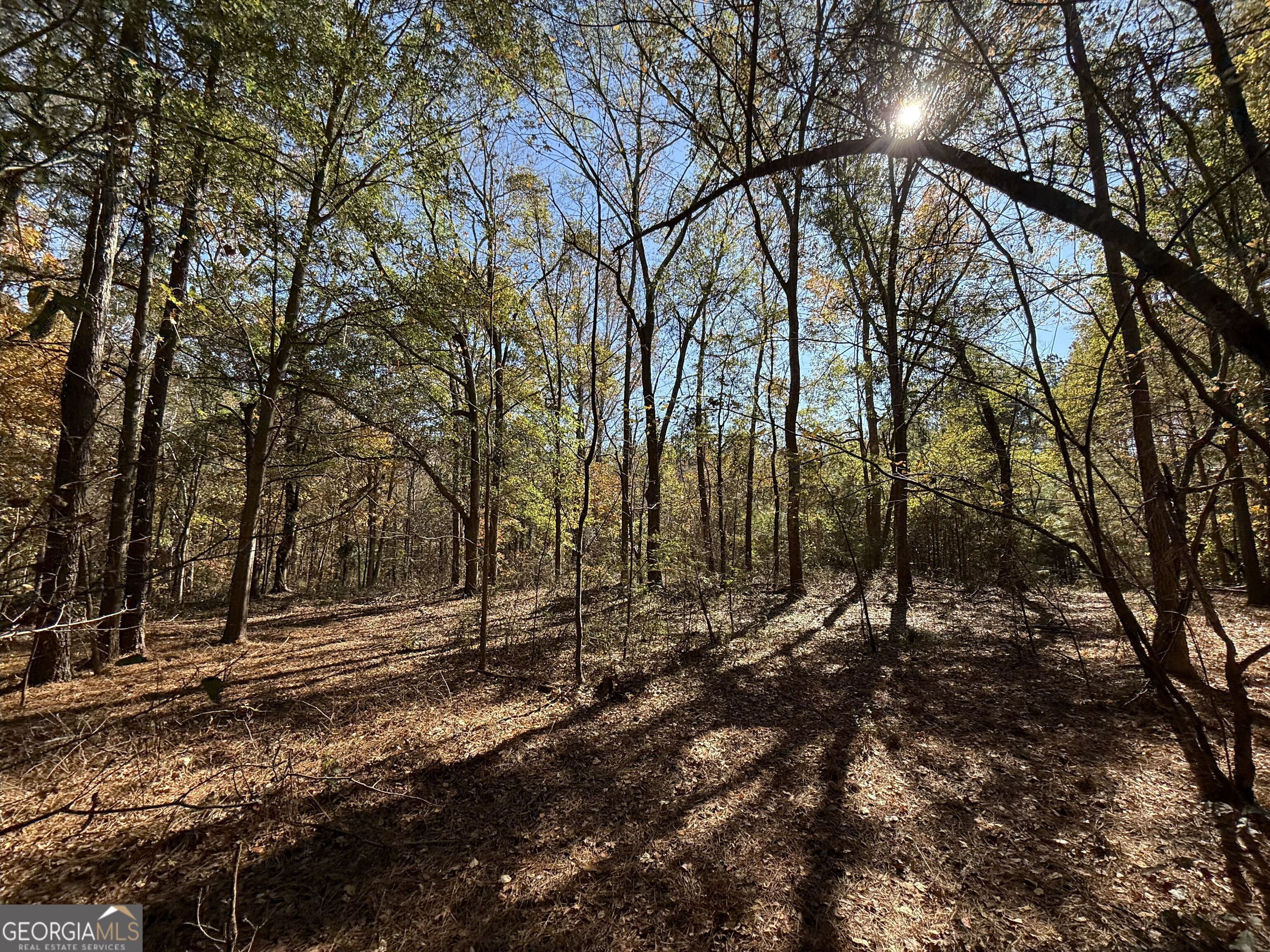 1 Lem Edwards Road Colbert, GA 30628 - Photo 31 of 53