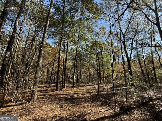 $120,000 | 1 Lem Edwards Road, Colbert, GA 30628