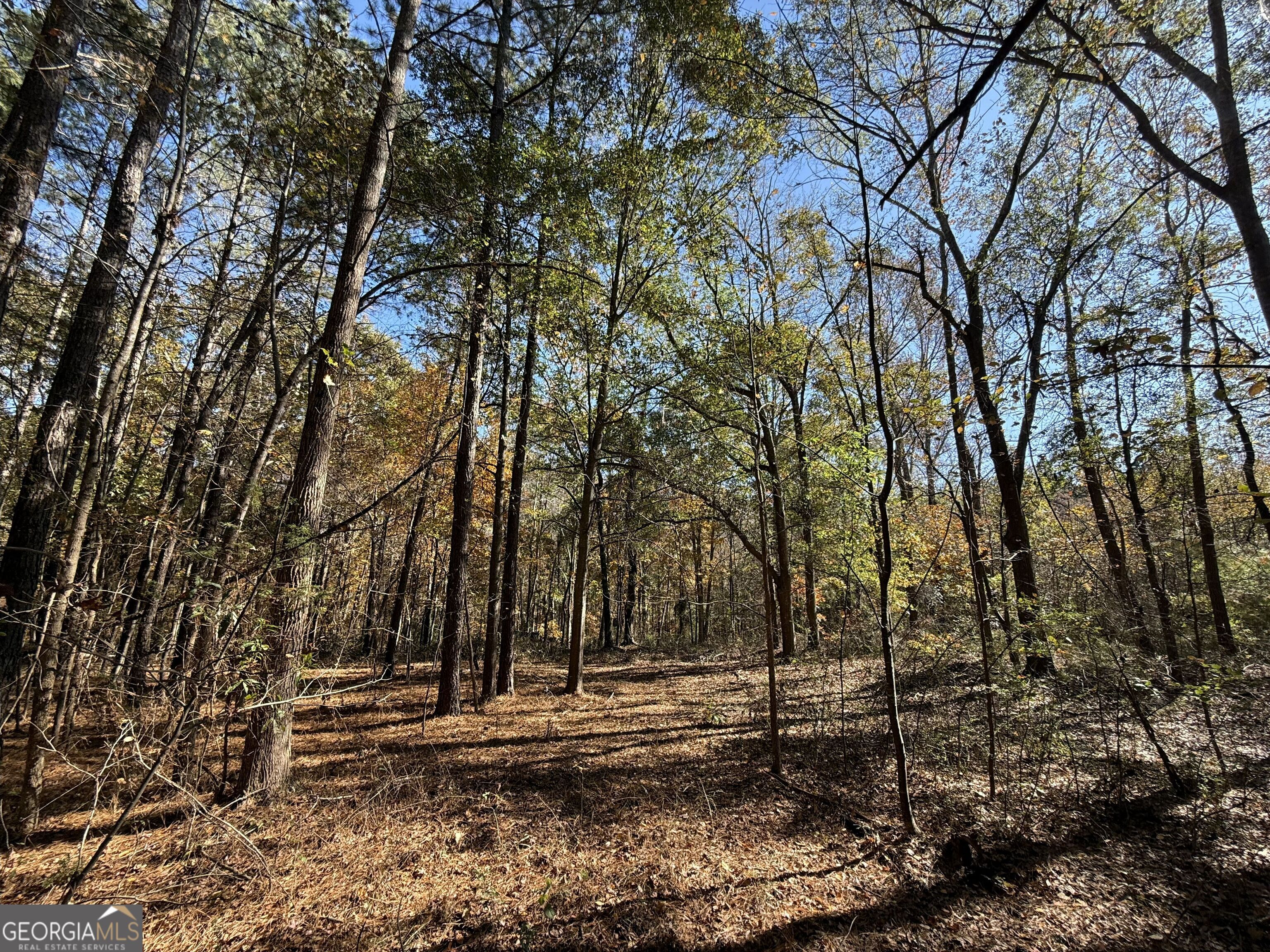 1 Lem Edwards Road Colbert, GA 30628 - Photo 32 of 53