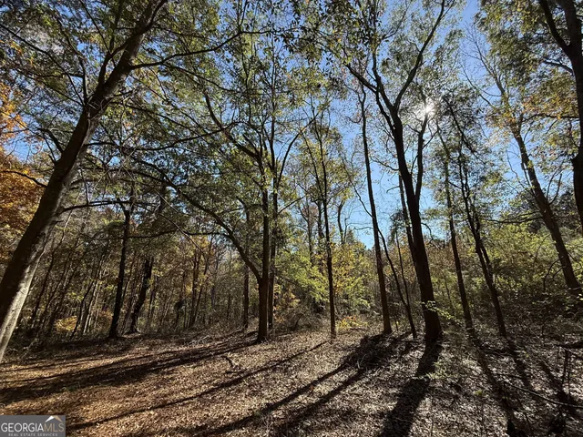 $120,000 | 1 Lem Edwards Road, Colbert, GA 30628