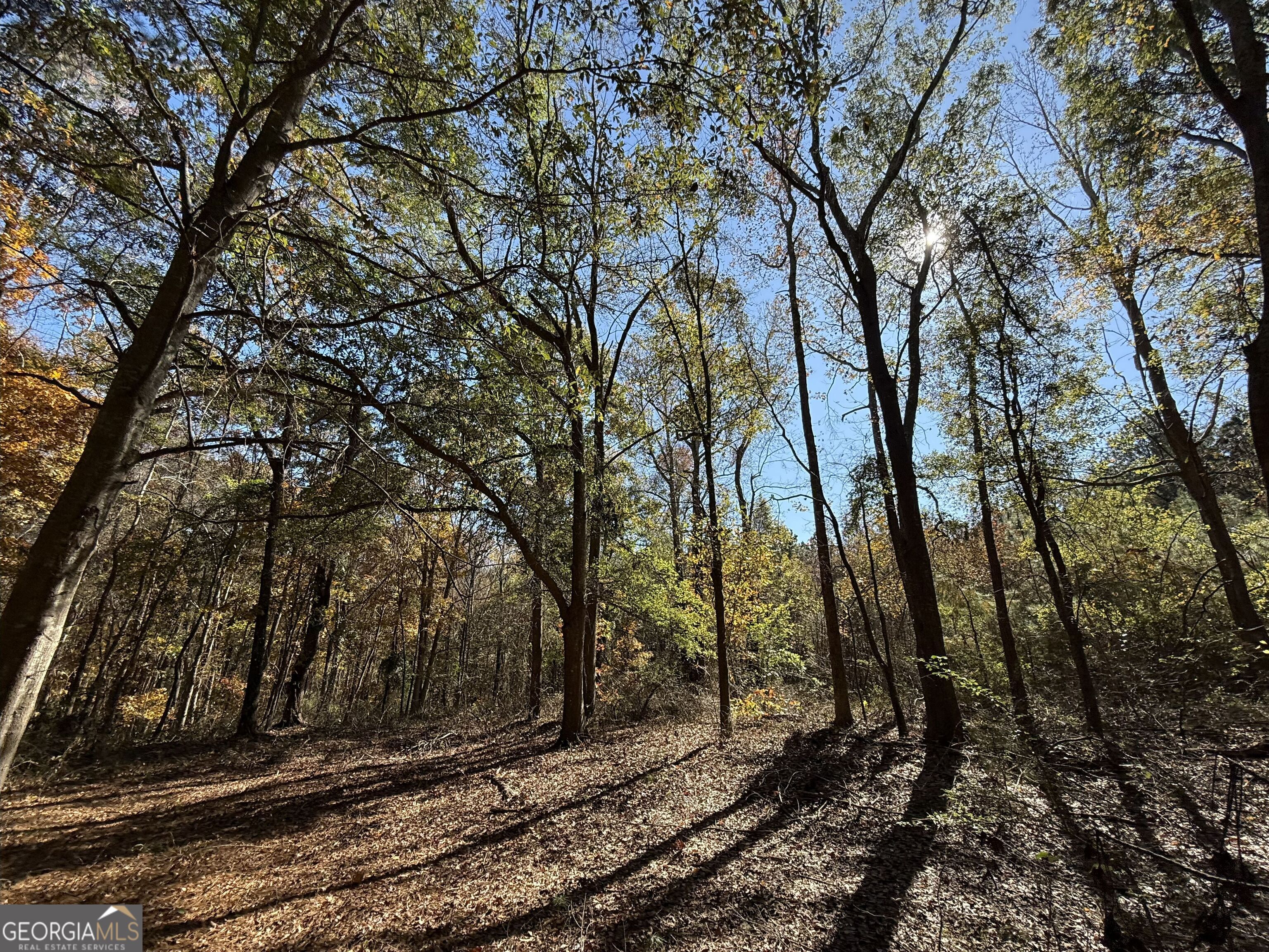 1 Lem Edwards Road Colbert, GA 30628 - Photo 33 of 53