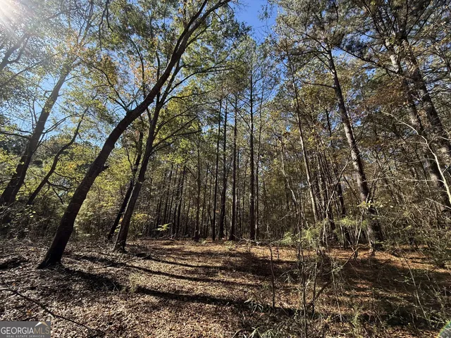 $120,000 | 1 Lem Edwards Road, Colbert, GA 30628